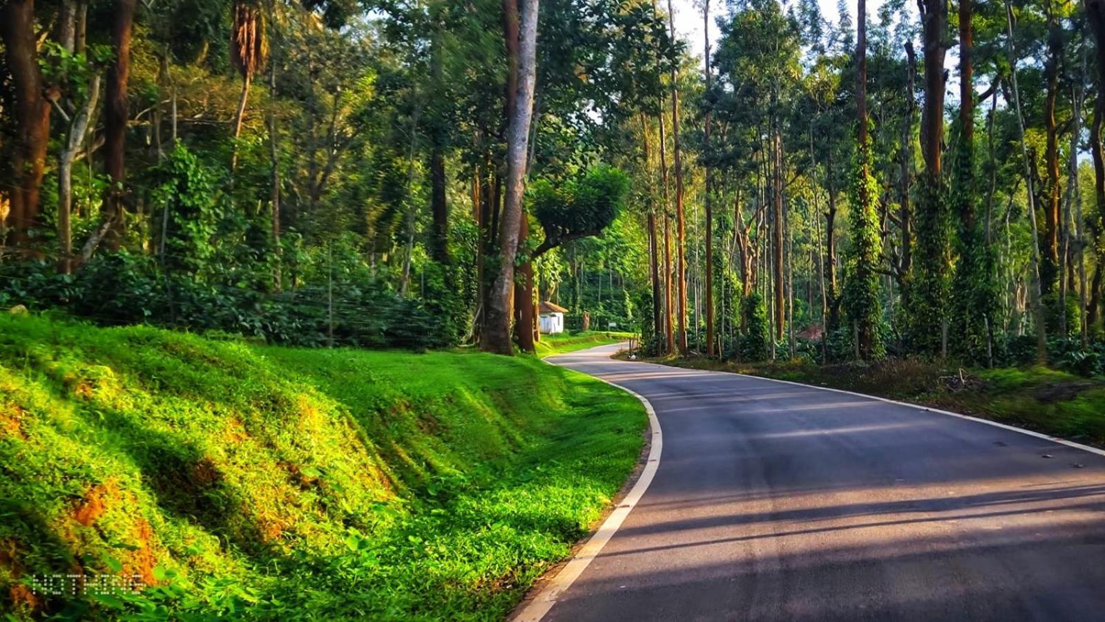 Coorg Divine Spark Home Stay Suntikoppa Bagian luar foto