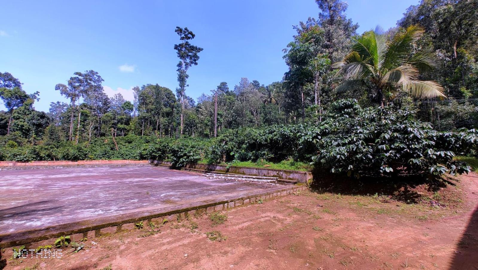 Coorg Divine Spark Home Stay Suntikoppa Bagian luar foto