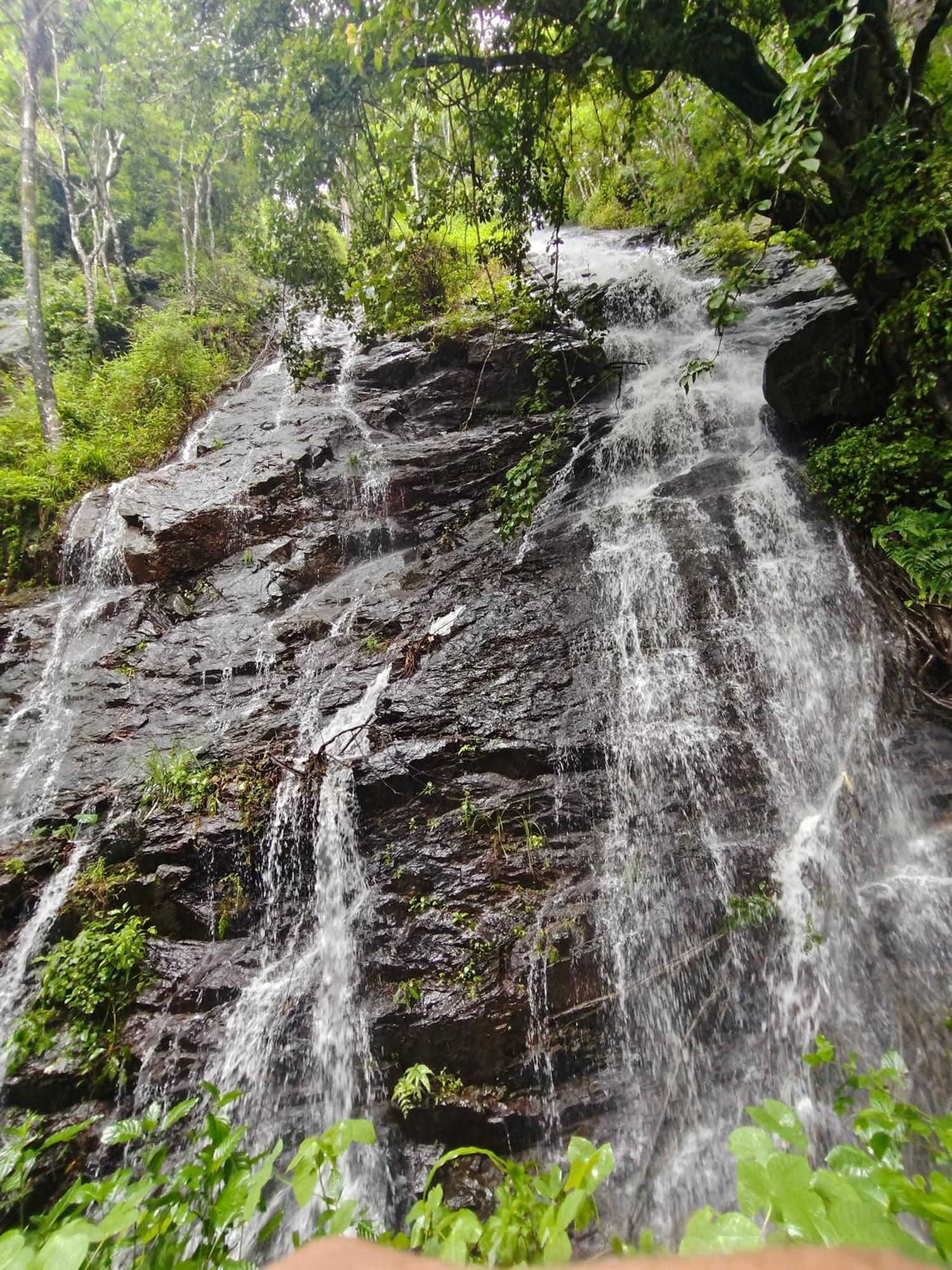 Coorg Divine Spark Home Stay Suntikoppa Bagian luar foto